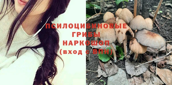 дурь Касимов