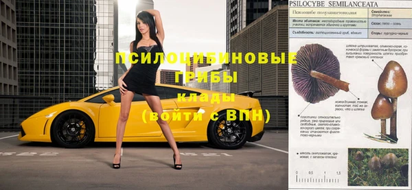 дурь Касимов