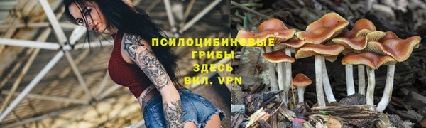 дурь Касимов