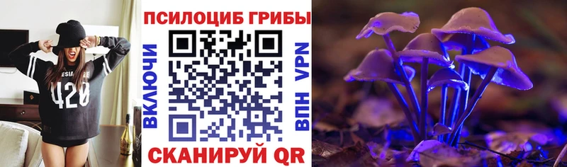Купить закладки  Пущино  Псилоцибиновые грибы мицелий 