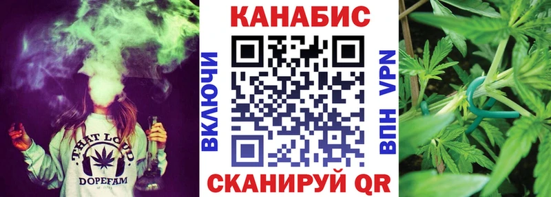 Купить закладки  Пущино  Шишки марихуана сатива 